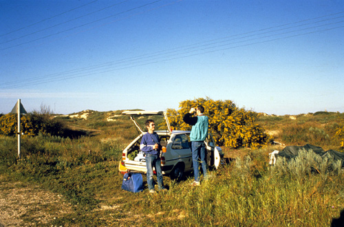 Caecarea