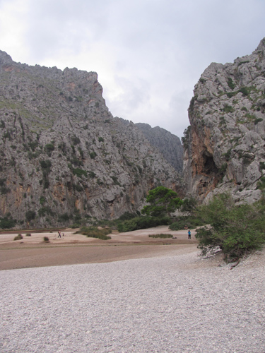 TorrentPareis