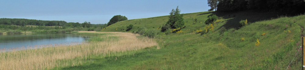 Stigsholm