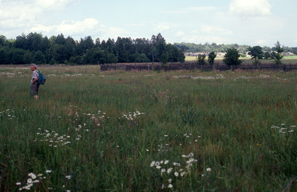 Brakmark