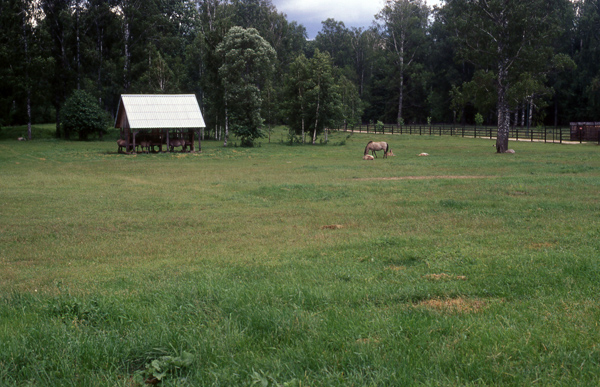 Dyrepark