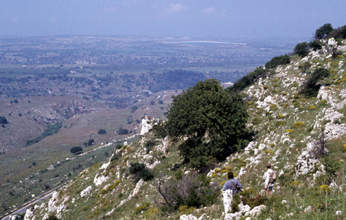 Augusta