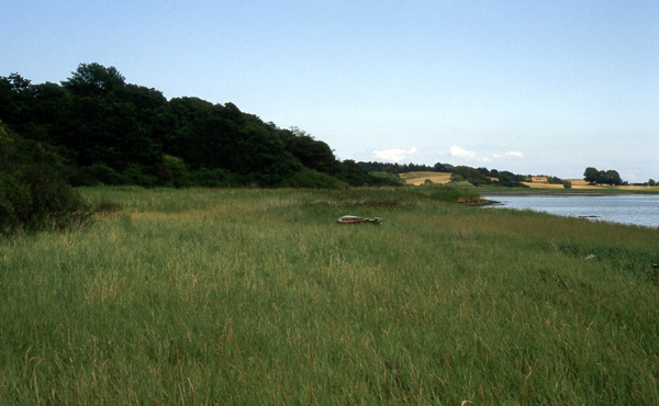 Uldrup
                Strand