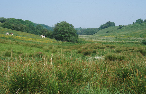 Bygholm valley