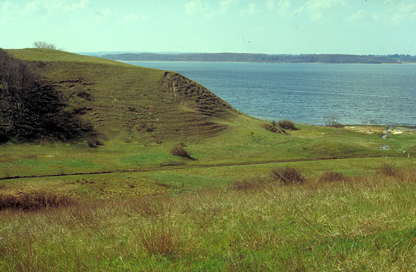 Ejby ådal