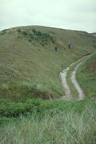 Febbersted canyon