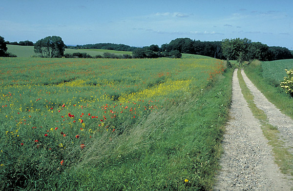 Farmland